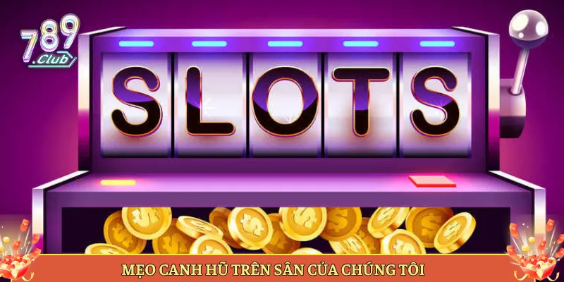 Mẹo Canh Hũ Trên Sân Của Chúng Tôi