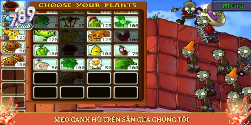 Mẹo Canh Hũ Trên Sân Của Chúng Tôi
